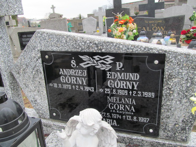 Andrzej Górny 1870 Trzemeszno - Grobonet - Wyszukiwarka osób pochowanych