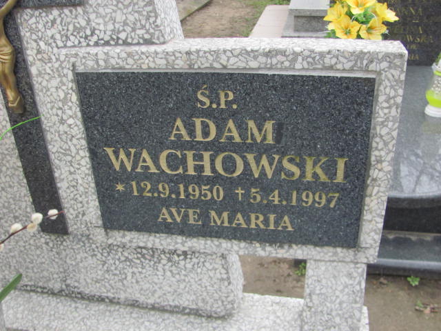 Adam Wachowski 1950 Trzemeszno - Grobonet - Wyszukiwarka osób pochowanych