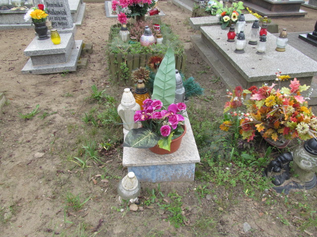  NN Trzemeszno - Grobonet - Wyszukiwarka osób pochowanych