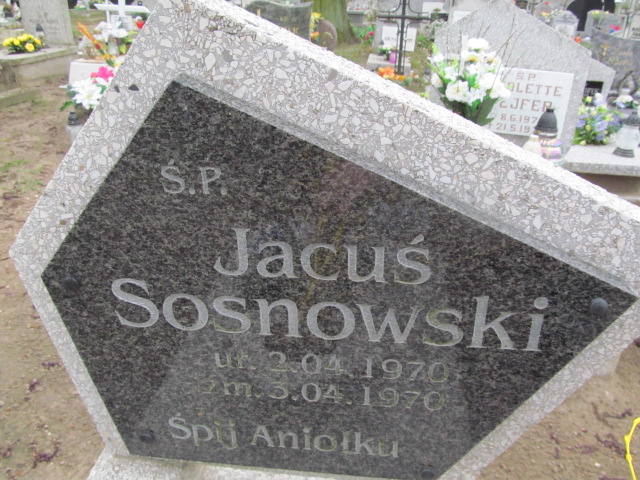 Jacek Adam Sosnowski 1970 Trzemeszno - Grobonet - Wyszukiwarka osób pochowanych