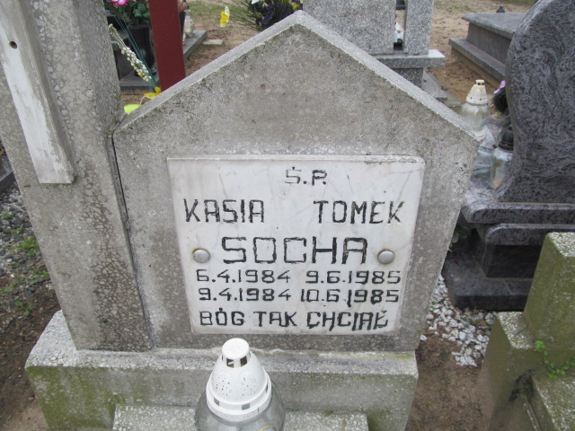 Tomasz Socha 1985 Trzemeszno - Grobonet - Wyszukiwarka osób pochowanych