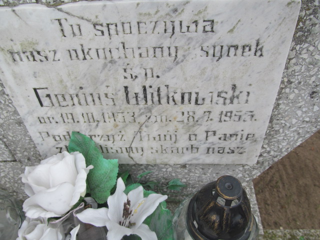 Eugeniusz Witkowski 1953 Trzemeszno - Grobonet - Wyszukiwarka osób pochowanych