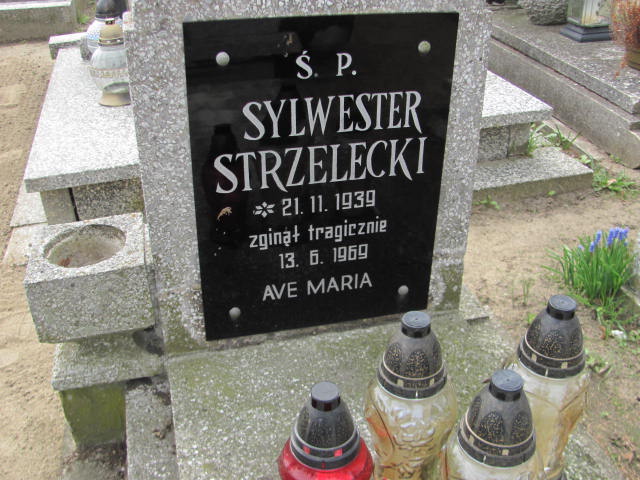 Sylwester Strzelecki 1939 Trzemeszno - Grobonet - Wyszukiwarka osób pochowanych