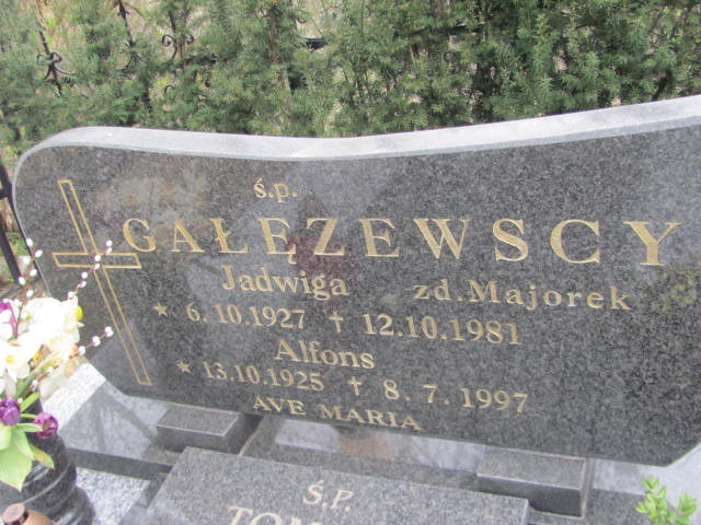 Tomasz Gałęzewski 1967 Trzemeszno - Grobonet - Wyszukiwarka osób pochowanych
