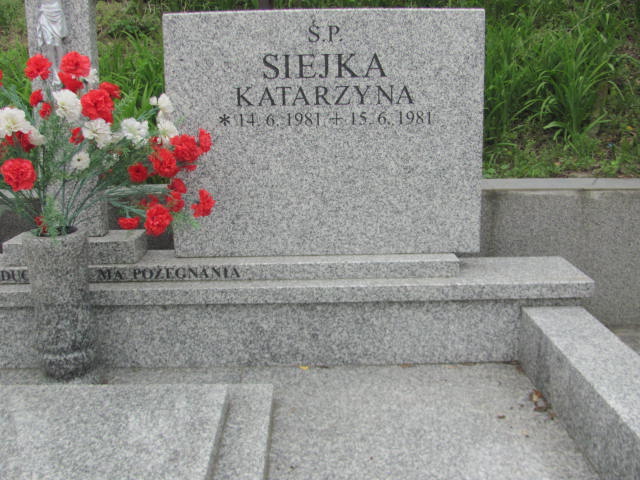 Stanisław Wiśniewski 1906 Trzemeszno - Grobonet - Wyszukiwarka osób pochowanych